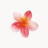 Harklemmer ByStenholt | Hawaiiblomst Harklemme - Rod